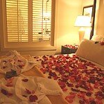 лепестки роз на постели